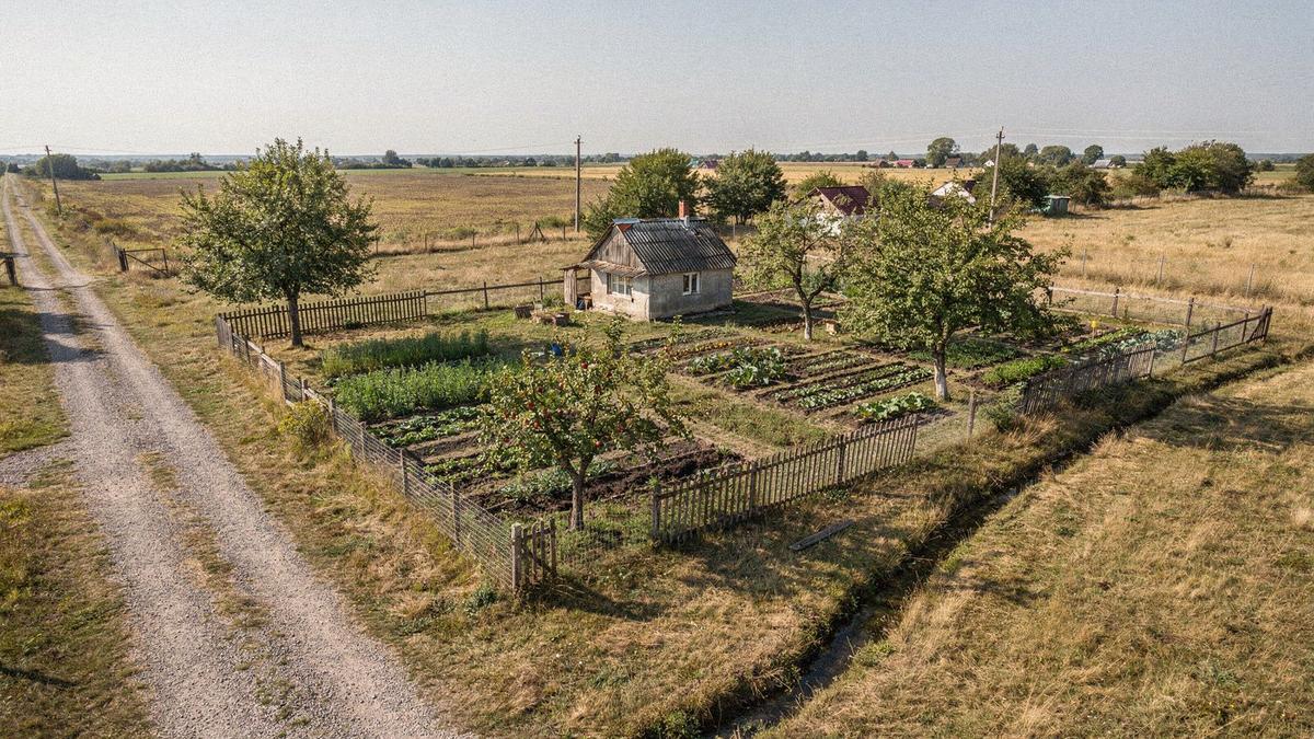 Aerial view of a cottage plot with a gravel access lane, fenced garden and outbuilding